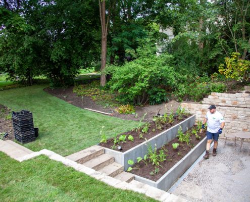 Bepflanzung Bepflanzung