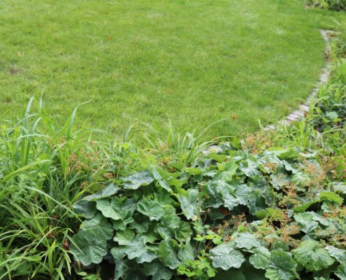 Bepflanzung an der Terrasse