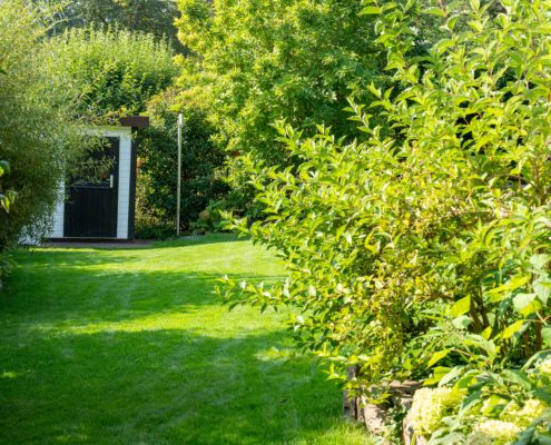 Hausgarten im Sommer