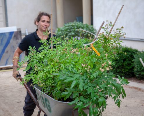 Unser Team beim Einpflanzen Unser Team beim Einpflanzen