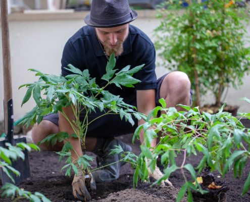 Pflanzarbeiten Pflanzarbeiten