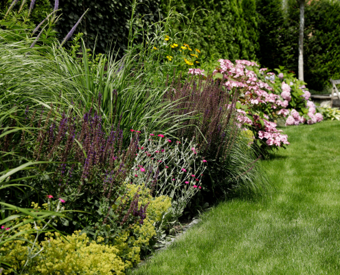 Pflanzenreicher Garten Pflanzenreicher Garten