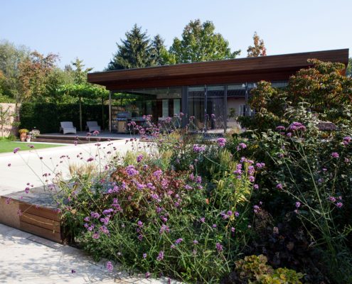 Pflanzen im Garten, Verbena, Pool