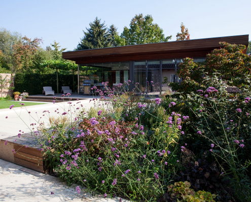 Pflanzen im Garten, Verbena, Pool